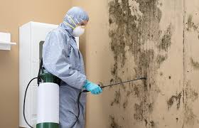 Best Commercial Mold Inspection  in Mangum, OK